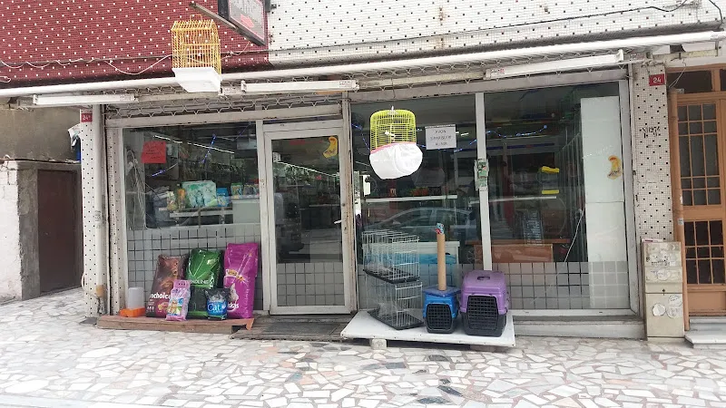Ecem Pet Shop foto 1