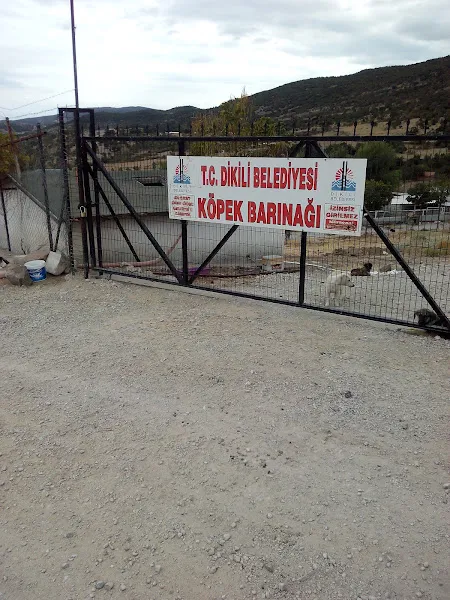 Dikili Belediyesi Köpek Barınağı foto 2