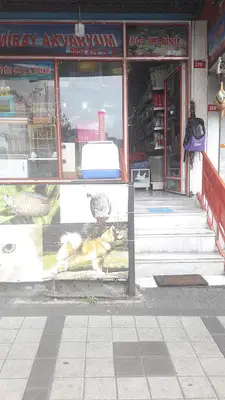 MİRAY PETSHOP AKVARYUM