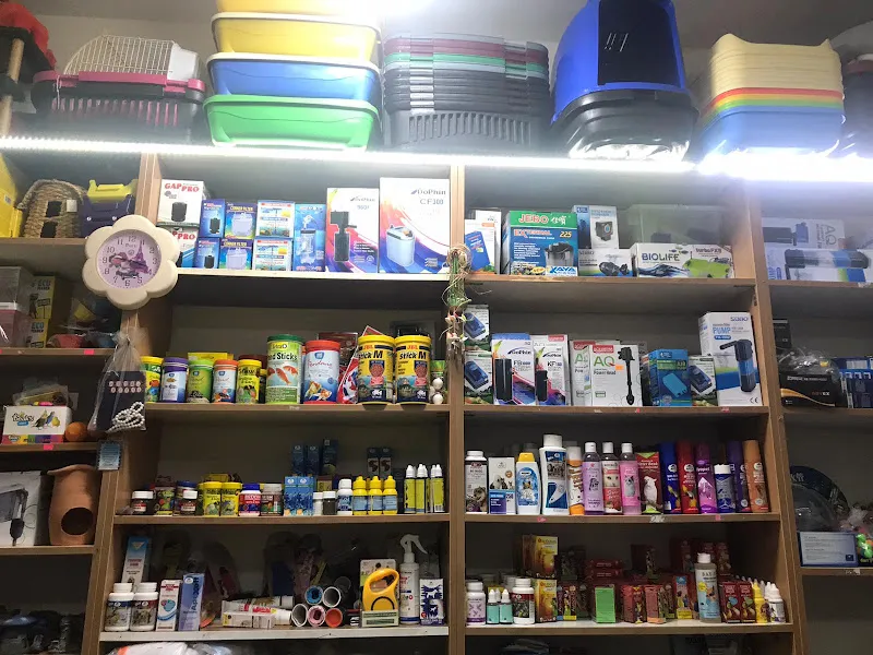 MİRAY PETSHOP AKVARYUM foto 2