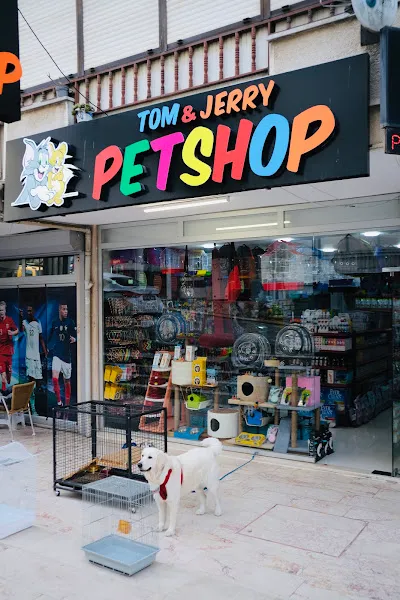 Çınarcık Tom & Jerry Petshop foto 2