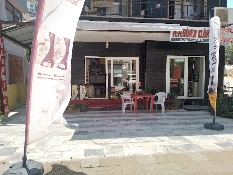 Atıcı pet veteriner kliniği foto 1