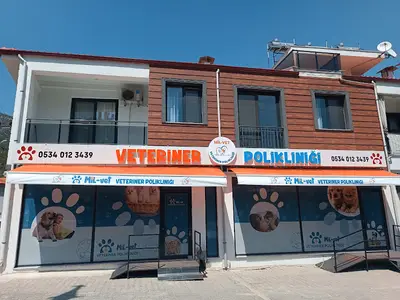 MİLVET VETERİNER POLİKLİNİĞİ