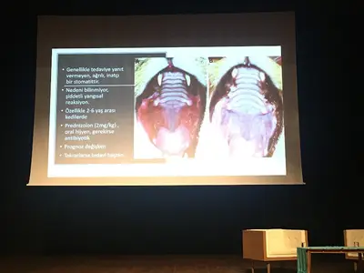 GödeOğlu VETERİNER Kliniği