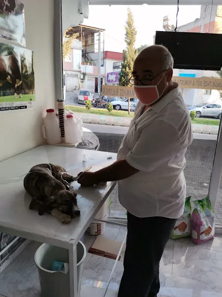 GödeOğlu VETERİNER Kliniği foto 2
