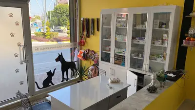 PATİ ŞAH VETERİNER KLİNİĞİ