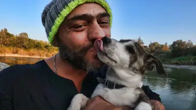 Ver Patini Pozitif Köpek Eğitimi - İstanbul fotoğrafı