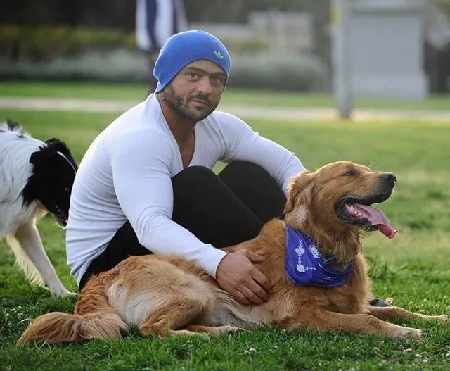 Ver Patini Pozitif Köpek Eğitimi - İstanbul foto 2