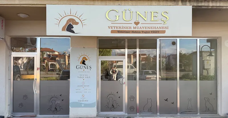 Güneş Veteriner Muayenehanesi foto 1