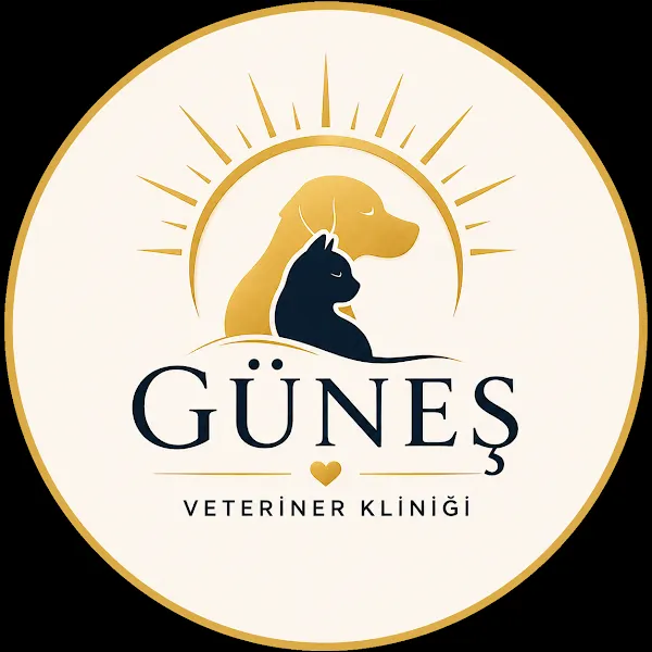 Güneş Veteriner Muayenehanesi foto 2