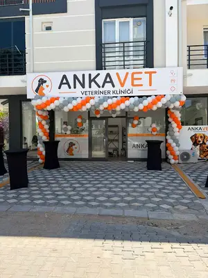 Ankavet Veteriner Kliniği Kırşehir