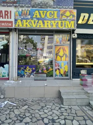 Mümin petshop