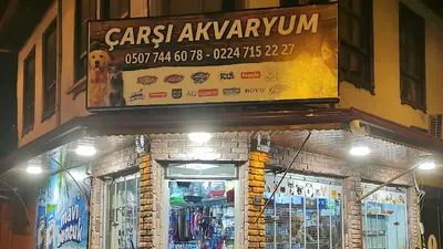 Çarşı Akvaryum