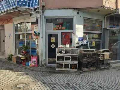 Efe Akvaryum