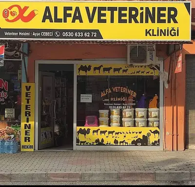 VETERİNER HEKİMİ AYŞE CEBECİ(ALFA VETERİNER KLİNİĞİ)