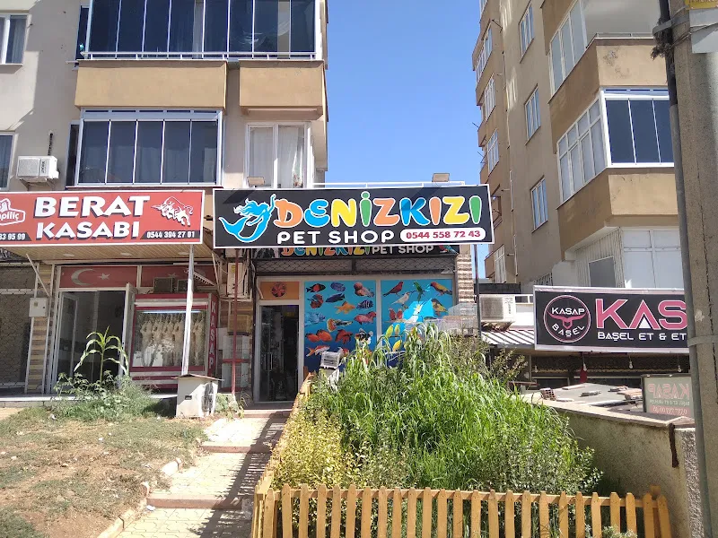 Denizkızı Petshop foto 1