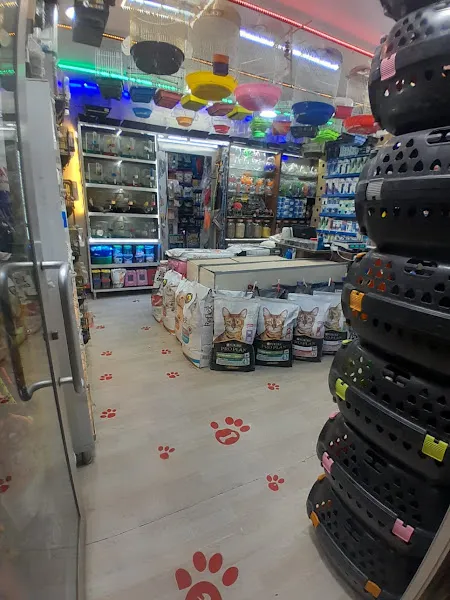 Denizkızı Petshop foto 2