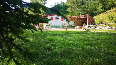 İskefiye Hayvancılık fotoğrafı