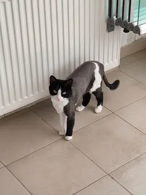 Heros Pet Kuaför fotoğrafı