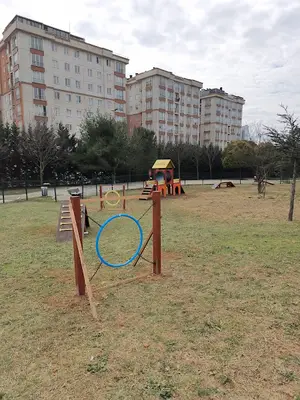 Köpek park eğitim parkuru fotoğrafı