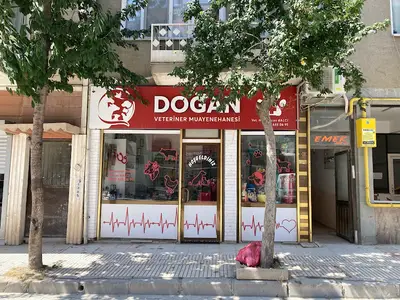 Doğan Veteriner Muayenehanesi
