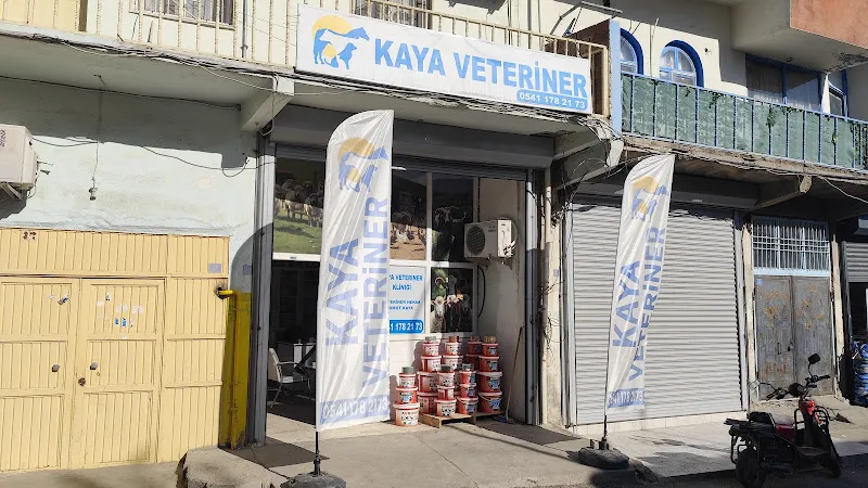 Derman Veteriner foto 1