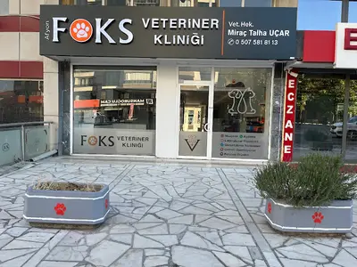AFYON FOKS VETERİNER KLİNİĞİ