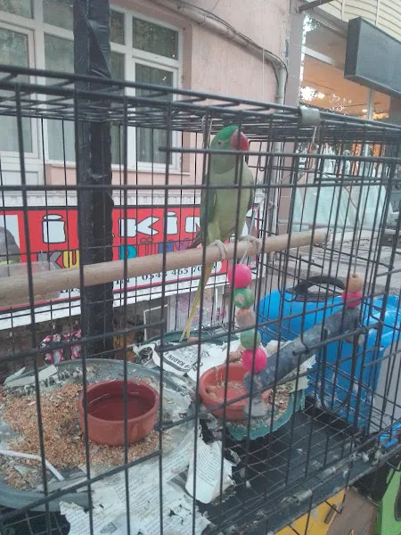 İlkimsu petshop foto 2