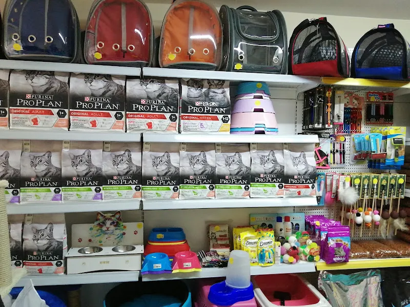Panda petshop foto 2