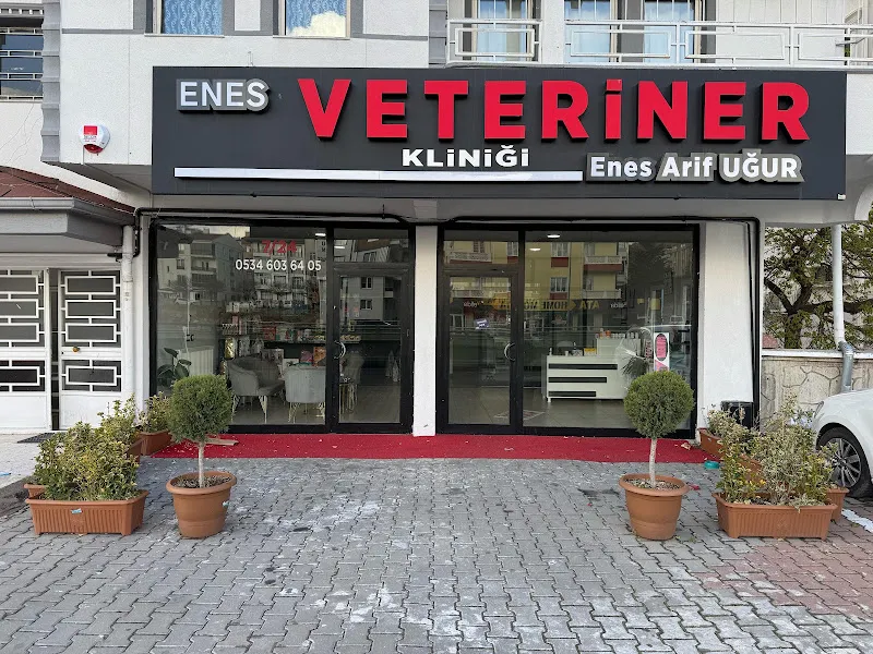 Eraslan Veteriner Kliniği foto 2