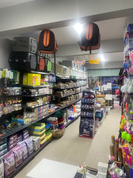 Eylül Petshop & Akvaryum foto 2