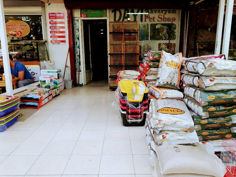 Değer Akvaryum foto 2