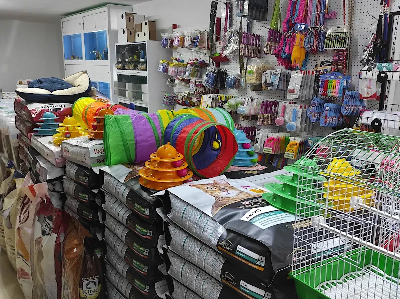Boncuk PETSHOP kahramankazan foto 2