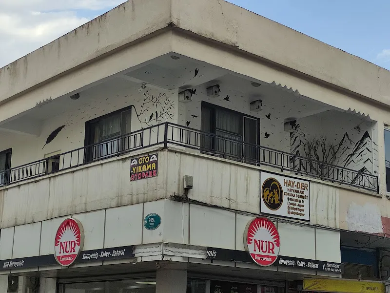 HAY-DER SOKAK HAYVANLARI KORUMA DERNEĞİ foto 1