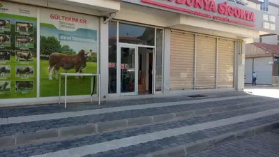 Gültekinler Veteriner Klıniği fotoğrafı