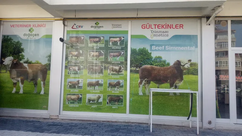 Gültekinler Veteriner Klıniği foto 2