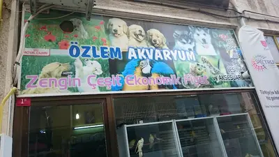 Kemal Akvaryum