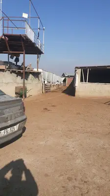 HAMDİN HANCI KÜCÜK BAŞ HAYVAN KONAKLAMA