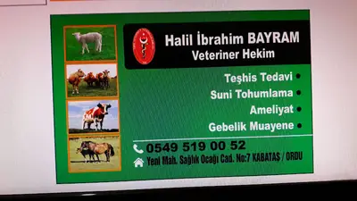 BAYRAM VETERİNER KLİNİĞİ
