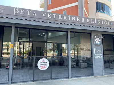 Beta Pet Kuaför