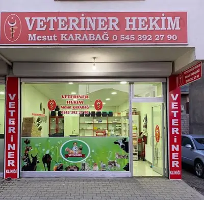 Doğan Veteriner Kliniği Veteriner Hekim