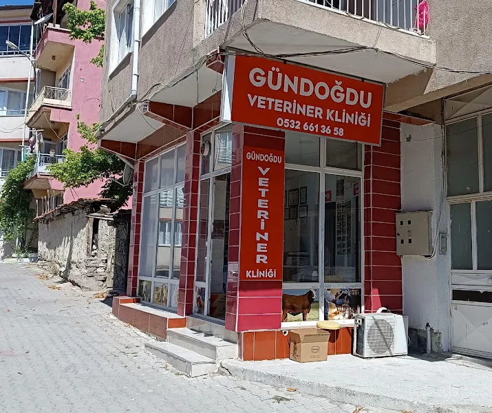 GÜNDOĞDU VETERİNER KLİNİĞİ DOMANİÇ foto 1