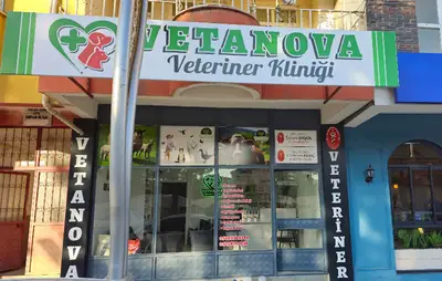 Taş Veteriner Kliniği