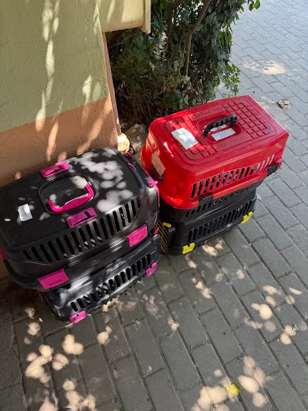 Osmangazi Belediyesi Sahipsiz Hayvanlar Doğal Yaşam Merkezi foto 2