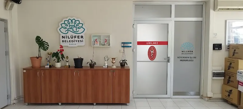 Nilufer Hayvan Sahiplendirme foto 2