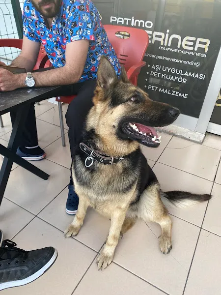 PATİMO VETERİNER KLİNİĞİ foto 2