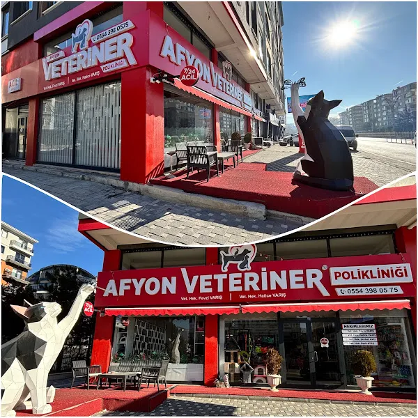 AFYON VETERİNER POLİKLİNİĞİ foto 1