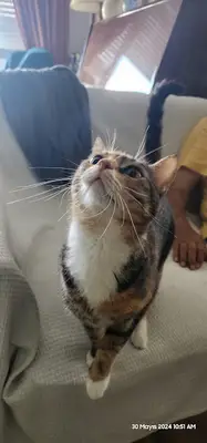 Pet Point Veteriner Kliniği fotoğrafı