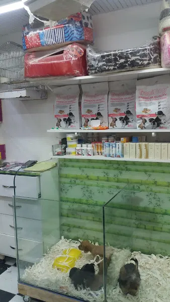 Güneş 35 Pet Center foto 2