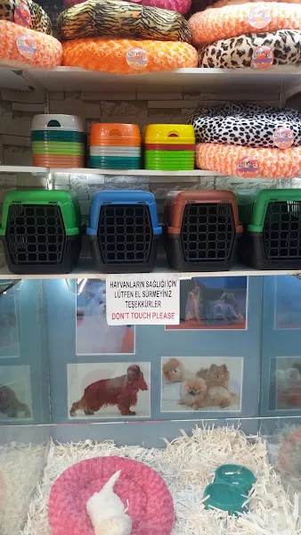 Yağmur Pet foto 2
